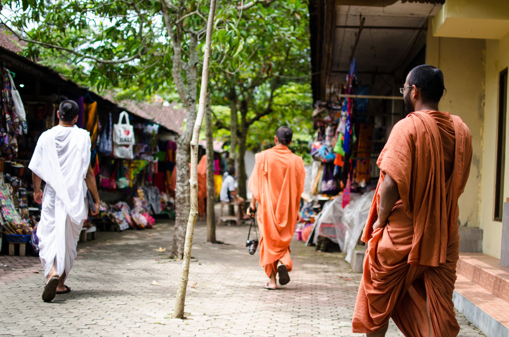 bali_affen_tempel_reisfelder-14