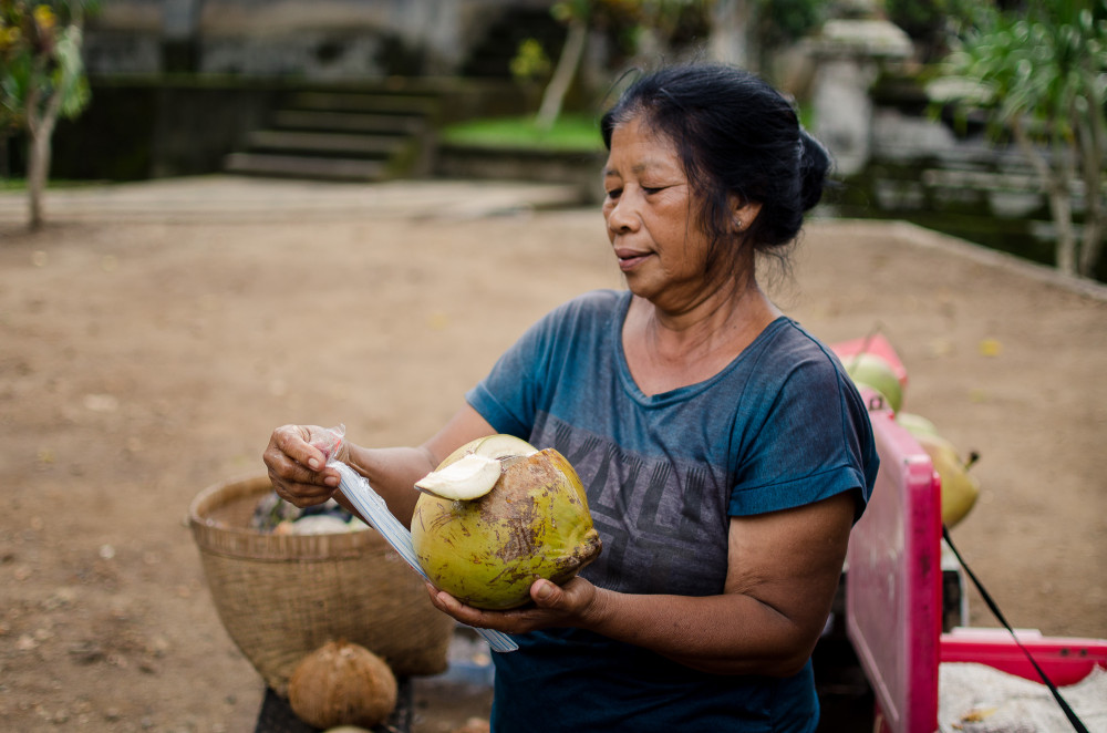 bali_affen_tempel_reisfelder-18