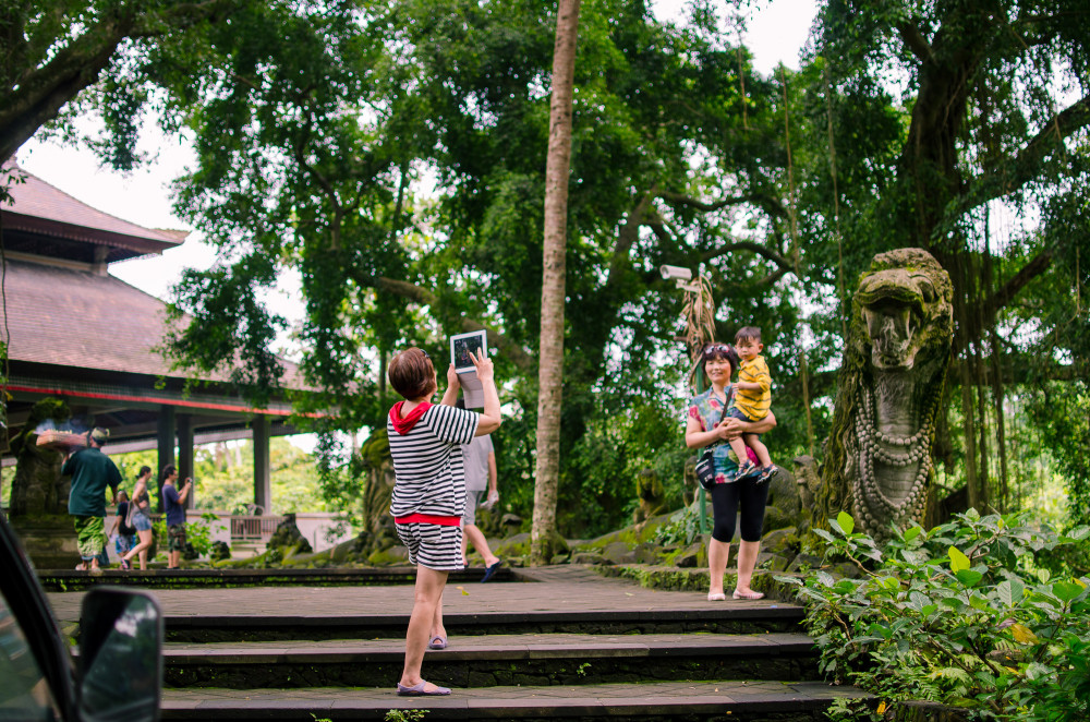 bali_affen_tempel_reisfelder-2