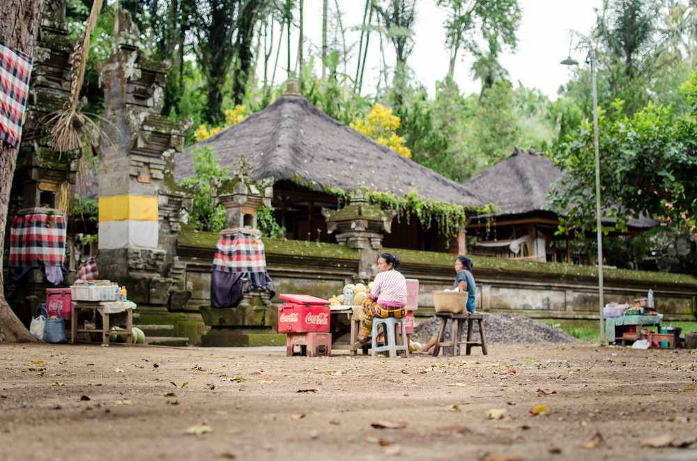 bali_affen_tempel_reisfelder-20