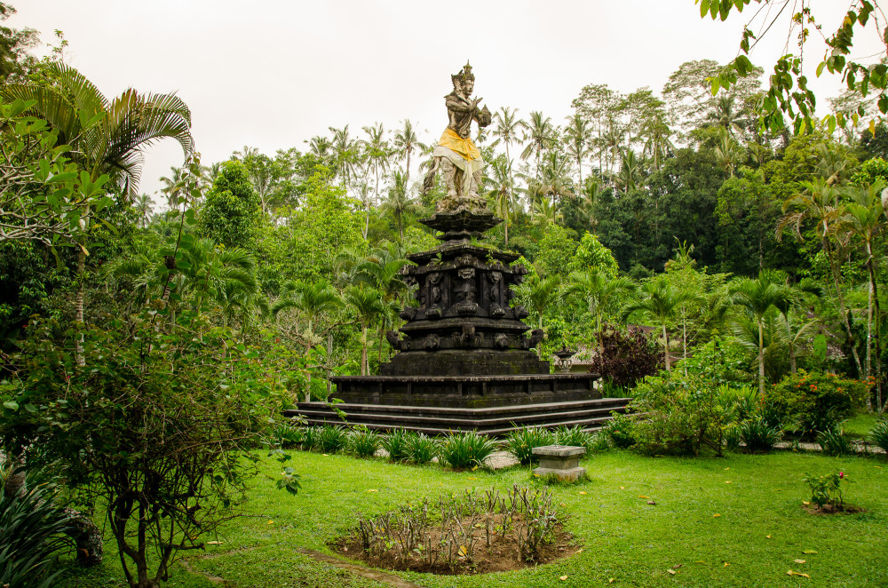 bali_affen_tempel_reisfelder-23