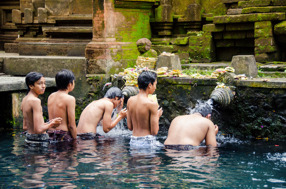 bali_affen_tempel_reisfelder-24