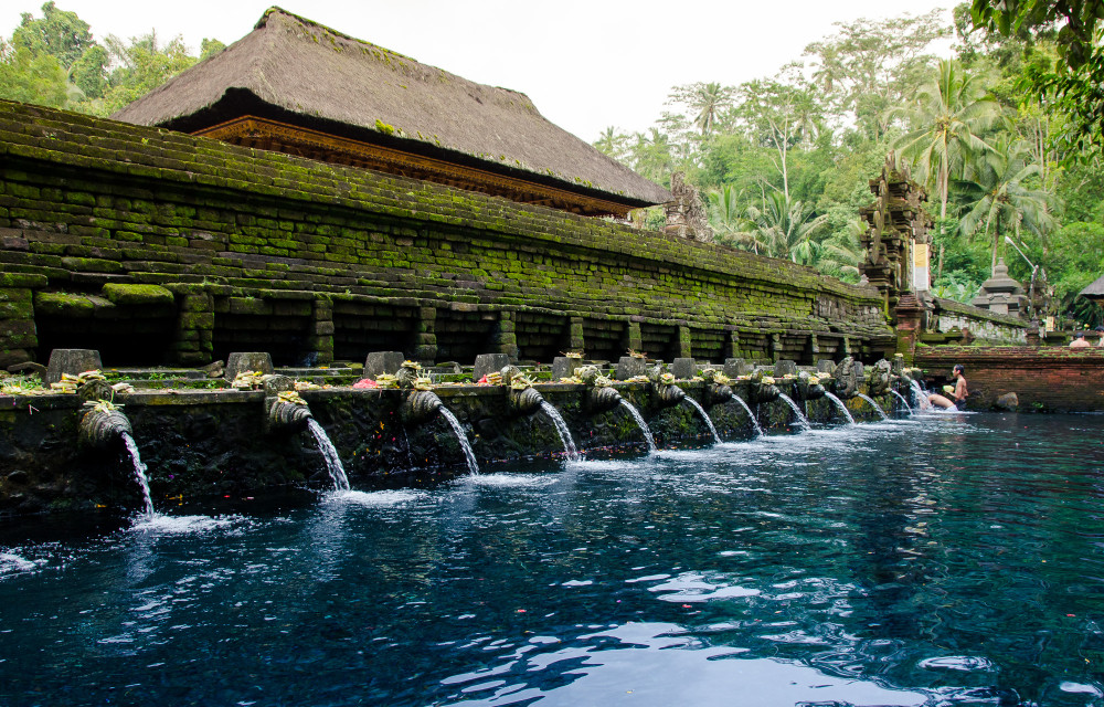 bali_affen_tempel_reisfelder-25