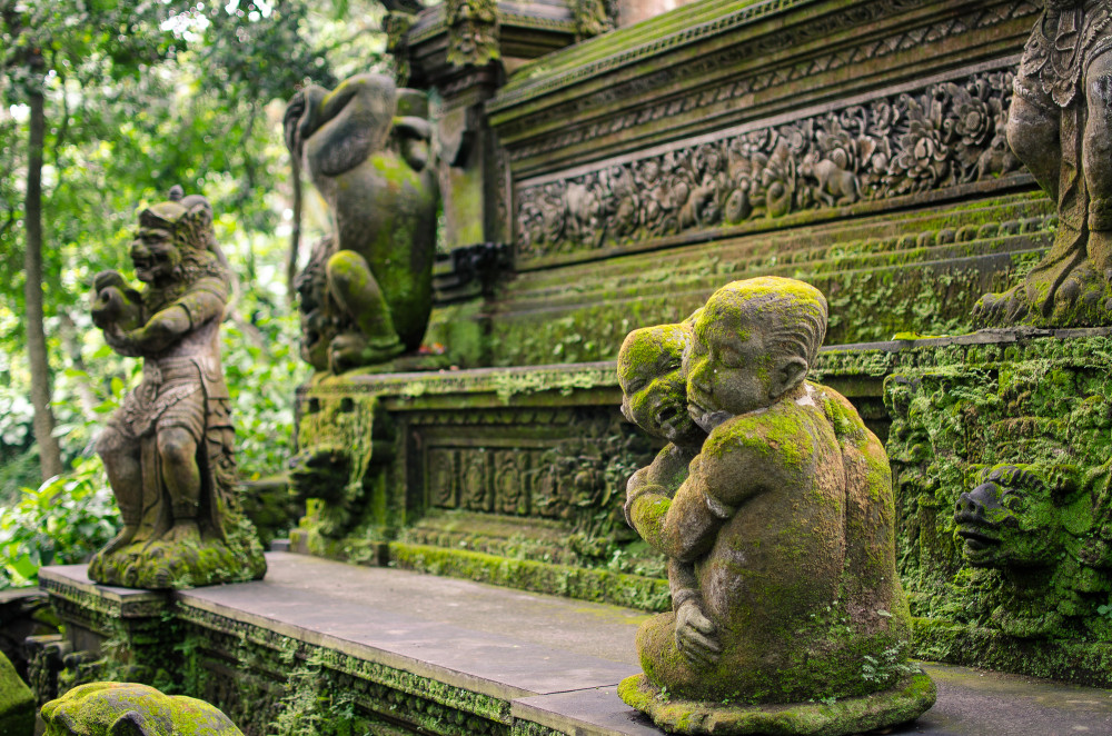 bali_affen_tempel_reisfelder-3