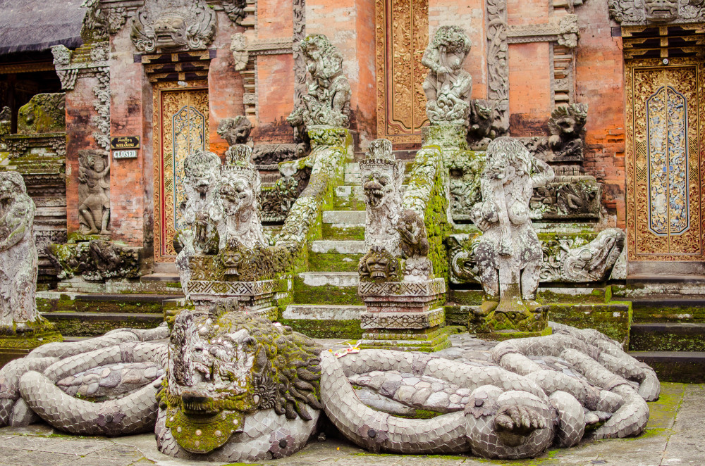 bali_affen_tempel_reisfelder-7