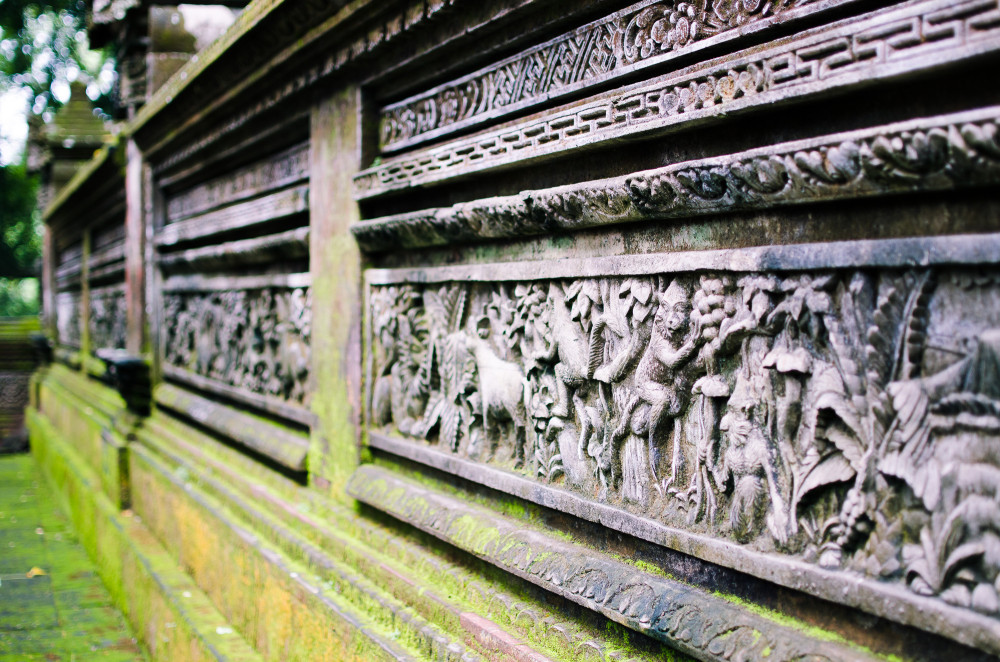 bali_affen_tempel_reisfelder-8