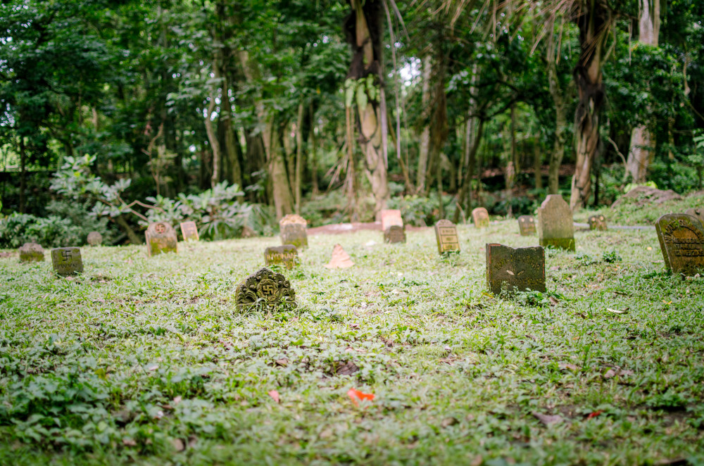 bali_affen_tempel_reisfelder-9