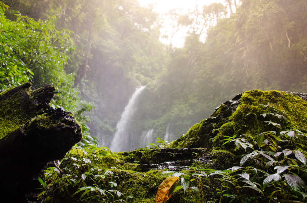 lombok-6